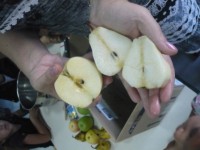 /album/semaine-du-gout/p1110328-jpg/