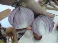 /album/semaine-du-gout/p1110366-jpg/