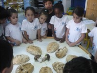 /album/semaine-du-gout/p1110378-jpg/