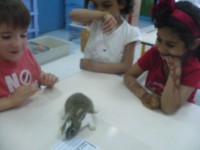 /album/le-lapin/p1120772-jpg1/