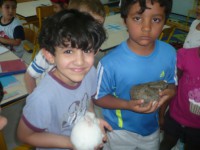 /album/le-lapin/p1120774-jpg1/